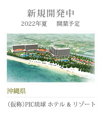 （仮称）琉球ホテル&リゾート　名城ビーチ